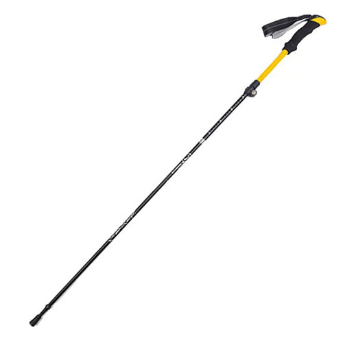 Five section folding walking cane 